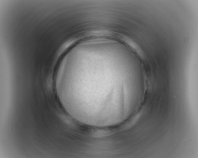 X0000113871074200910011108