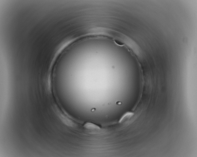 X0000113871076200910011107