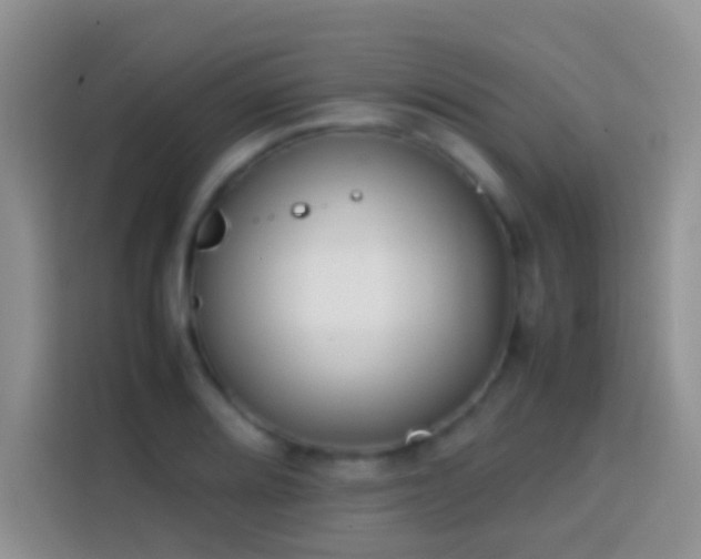 X0000113871080200910011107