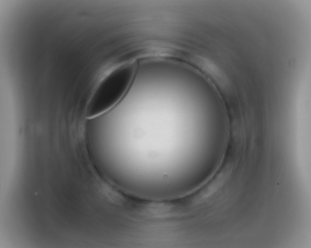 X0000113871081200910011107