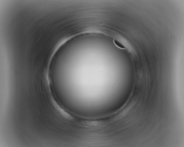 X0000113871084200910011107