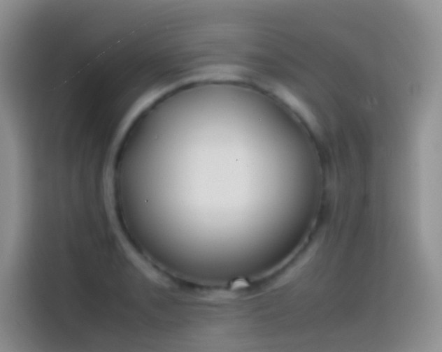 X0000113871085200910011107