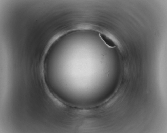 X0000113871088200910011107