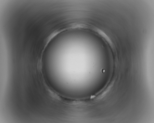 X0000113871089200910011107