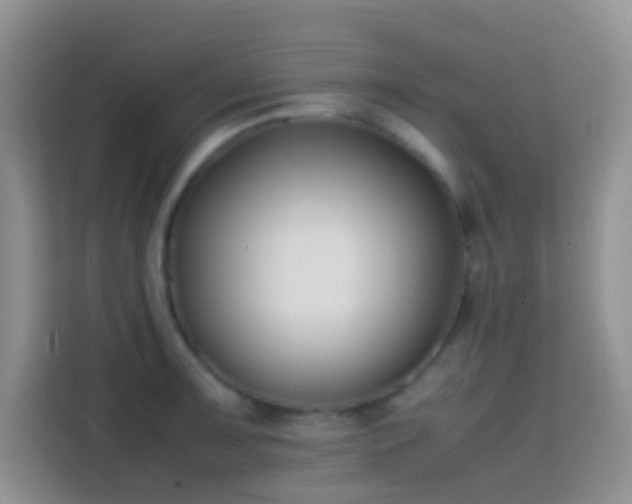 X0000113871091200910011107