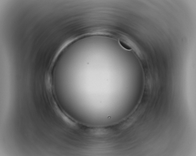 X0000113871092200910011107