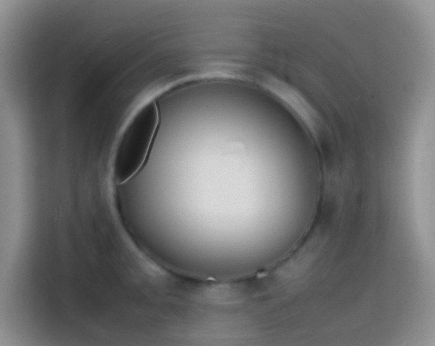 X0000113871093200910011107