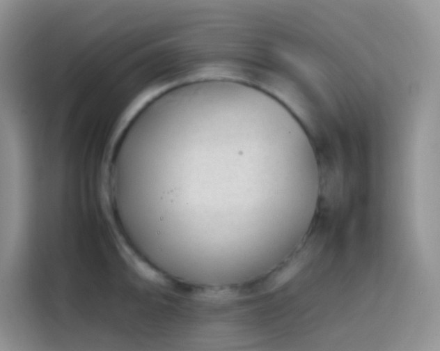 X0000113871094200910011107