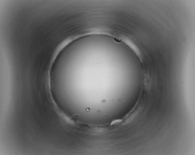 X0000113871096200910011107