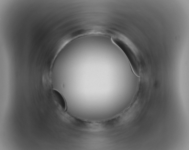 X0000113871097200910011107