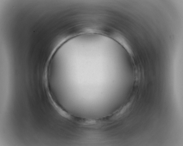 X0000113871098200910011107