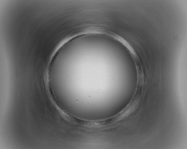 X0000113871101200910011107