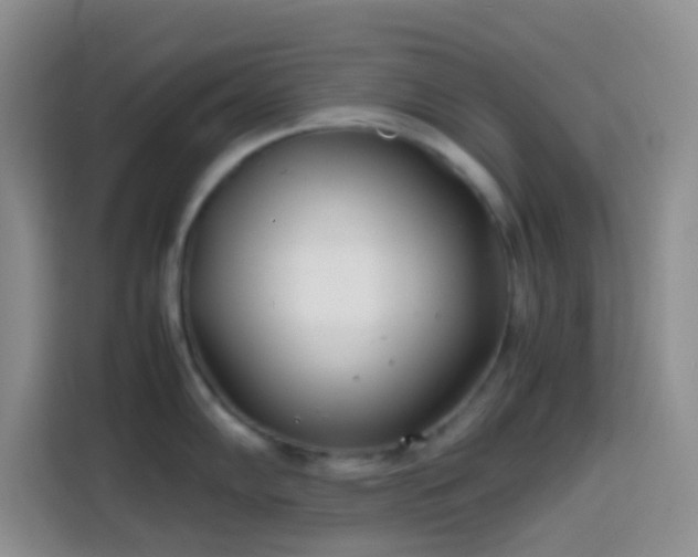 X0000113871102200910011107