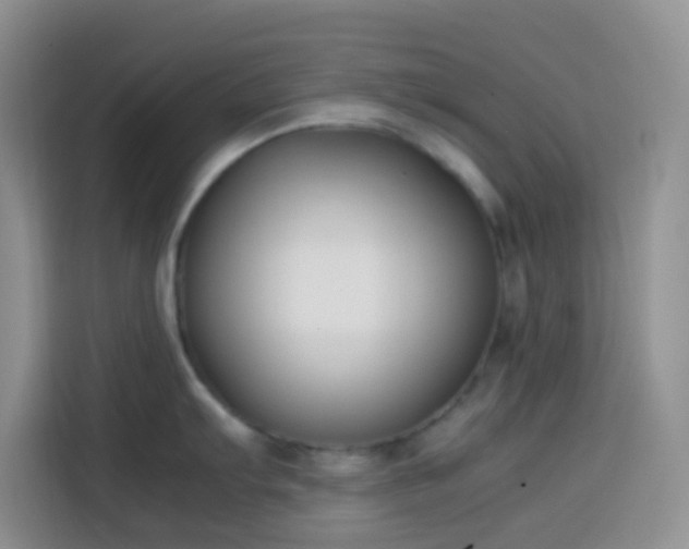 X0000113871103200910011107