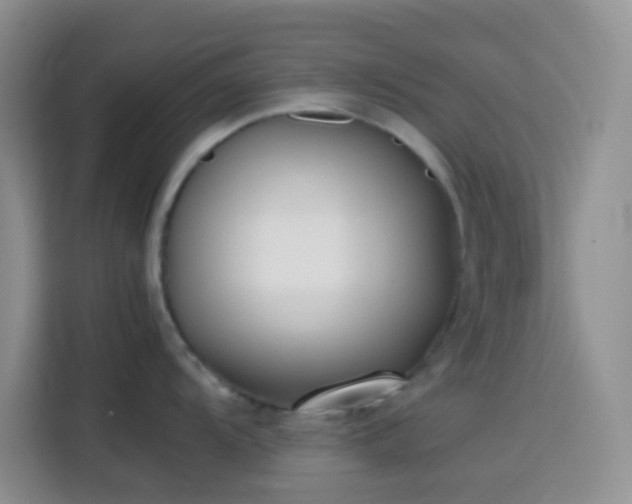 X0000113871104200910011107