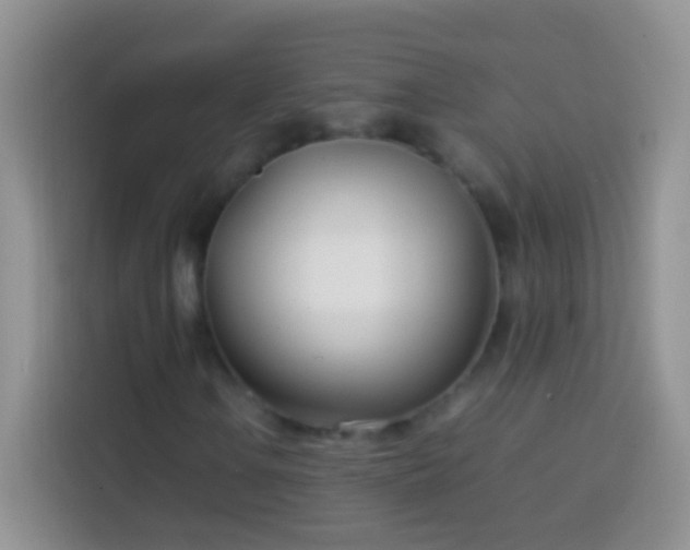 X0000113871106200910011107