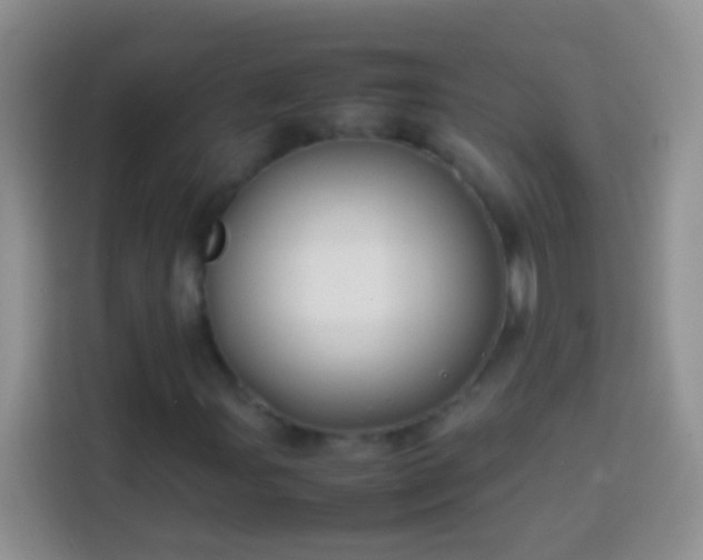 X0000113871107200910011107