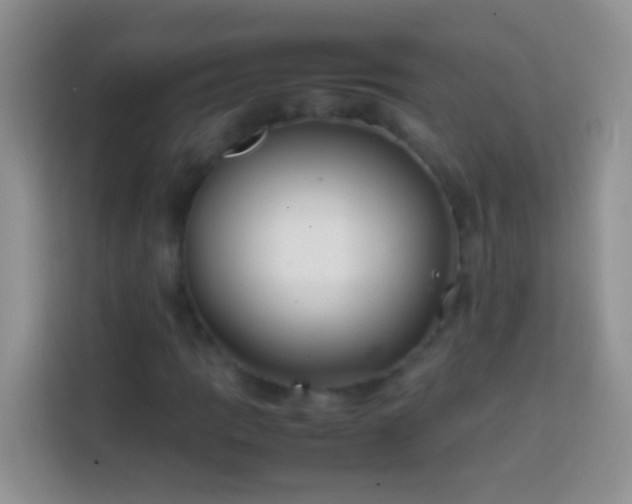 X0000113871109200910011107