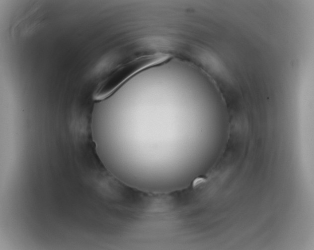 X0000113871110200910011107