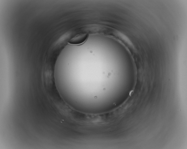 X0000113871111200910011107