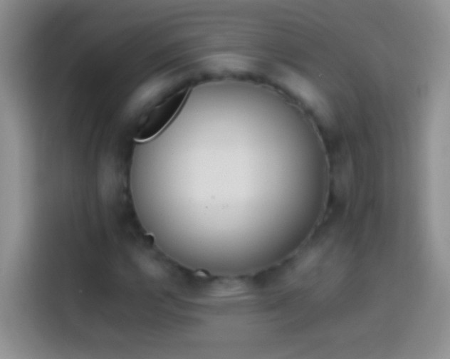 X0000113871112200910011107