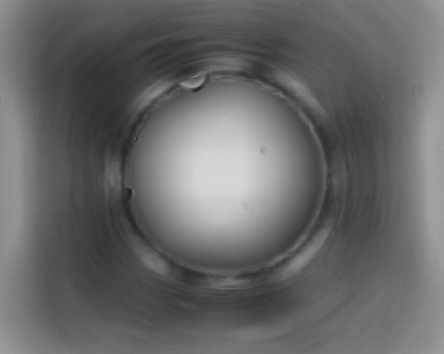 X0000113871113200910011107