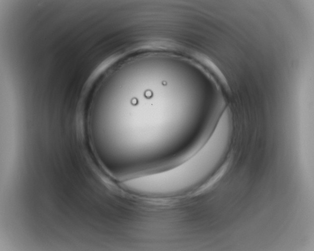 X0000113871114200910011107