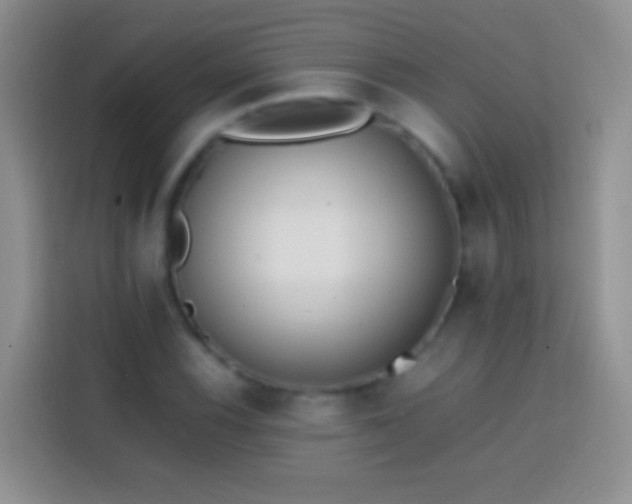 X0000113871116200910011107