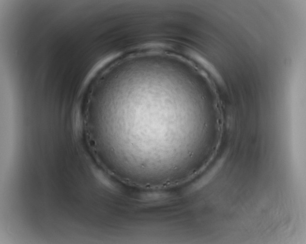 X0000113871117200910011107