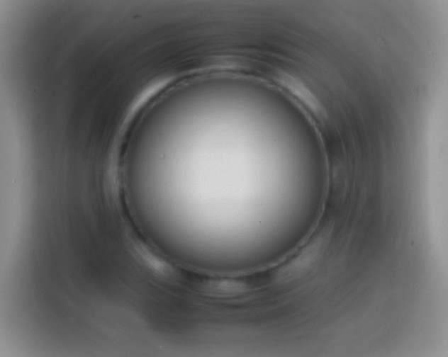 X0000113871119200910011107