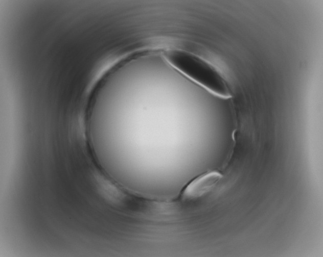 X0000113871120200910011107