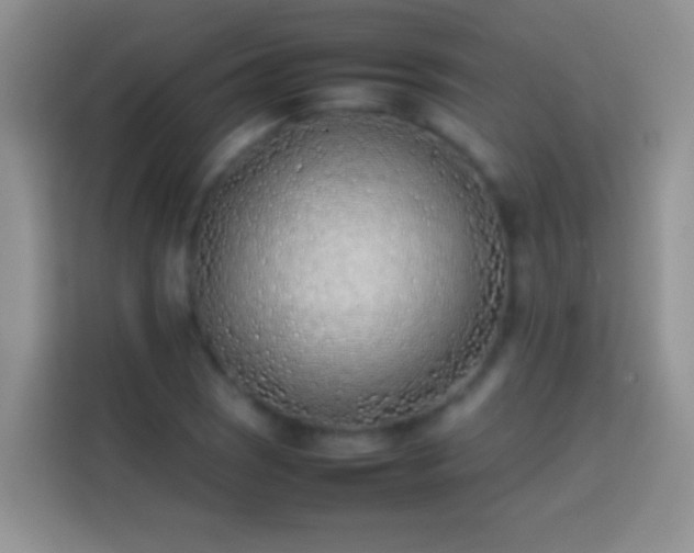 X0000113871121200910011107