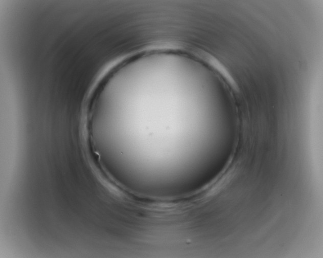 X0000113871124200910011107