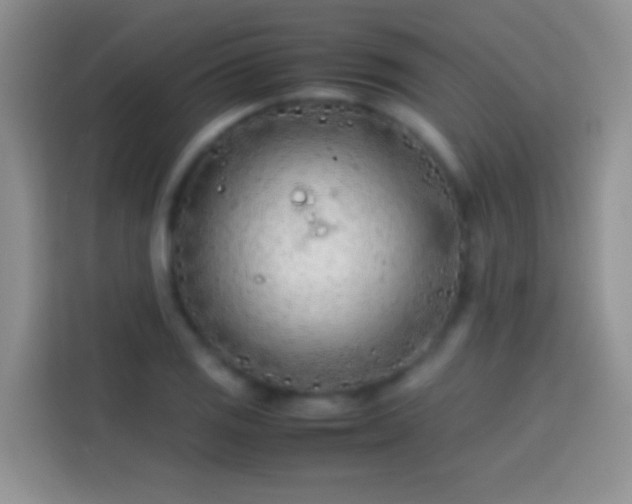 X0000113871125200910011107