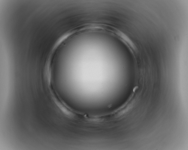 X0000113871127200910011107