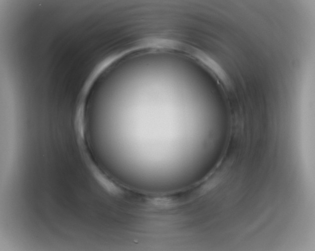 X0000113871128200910011107