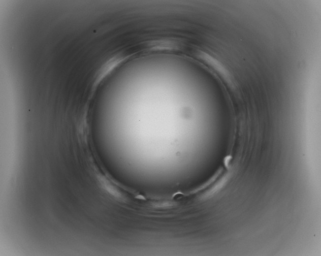 X0000113871129200910011107