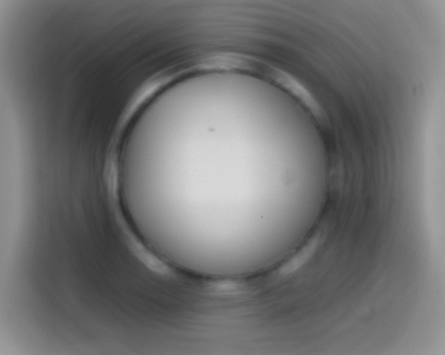 X0000113871130200910011107