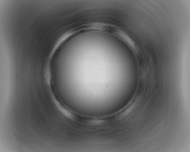 X0000113871131200910011107