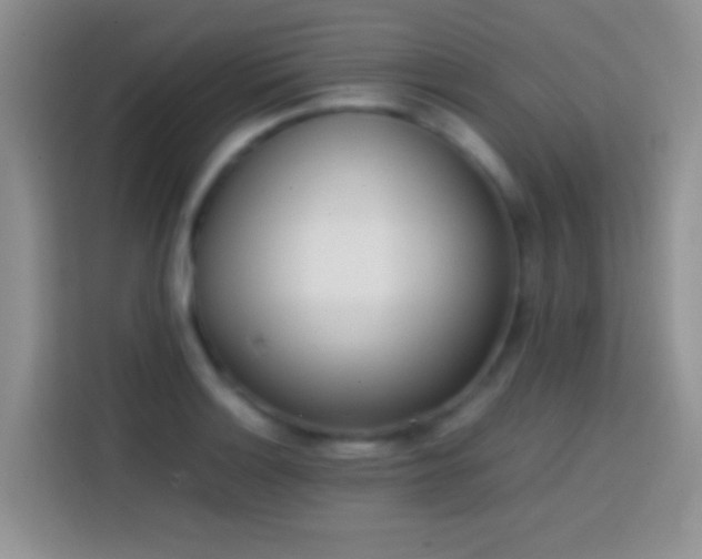 X0000113871132200910011107