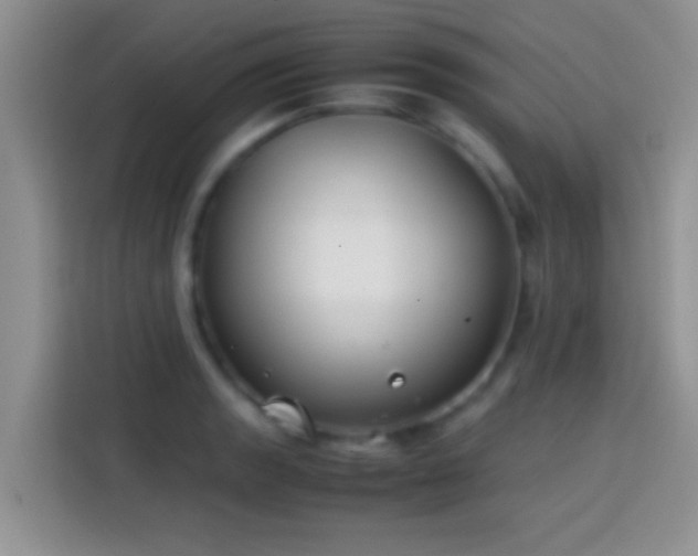 X0000113871133200910011107