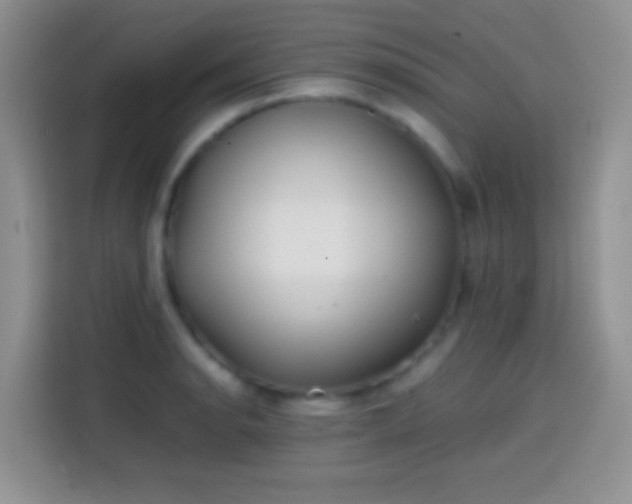 X0000113871134200910011107