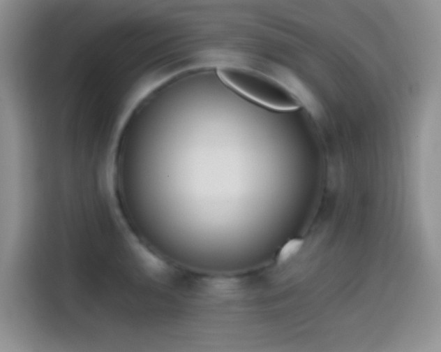 X0000113871136200910011107