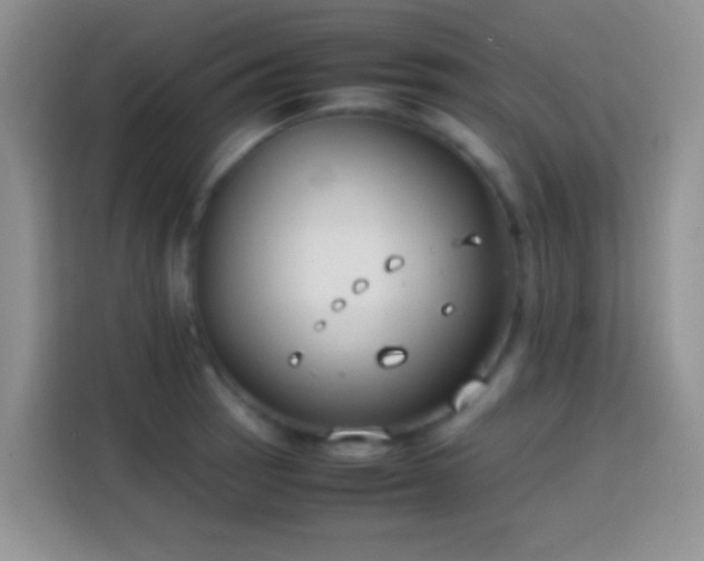 X0000113871137200910011107