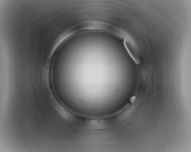 X0000113871138200910011107