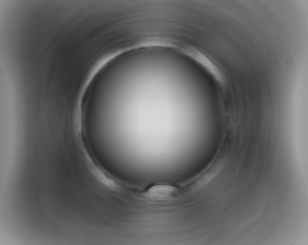 X0000113871140200910011107