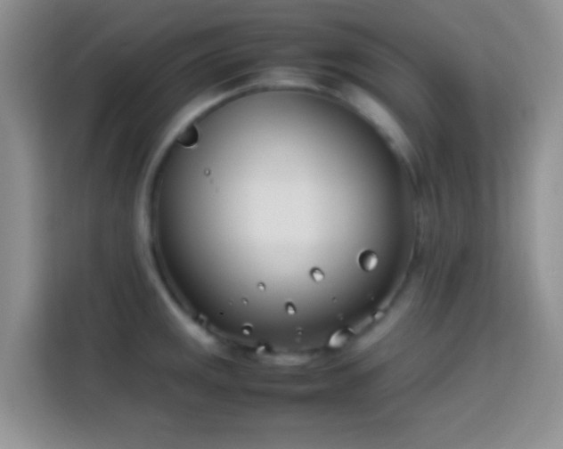 X0000113871141200910011107