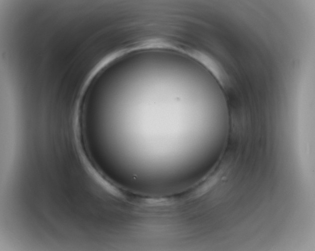 X0000113871142200910011107