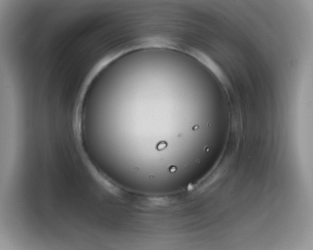 X0000113871144200910011107