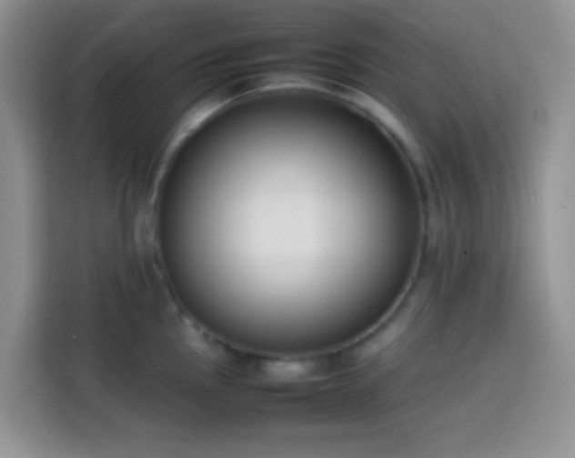 X0000113871145200910011107